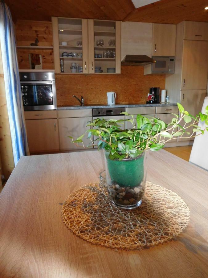 Apartment Aschaber Waidring Extérieur photo
